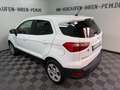 Ford EcoSport 1.0 Trend NEUE Allwetterreifen TÜV 5-27 Weiß - thumbnail 28
