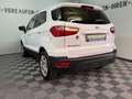 Ford EcoSport 1.0 Trend NEUE Allwetterreifen TÜV 5-27 Weiß - thumbnail 35