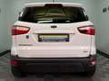 Ford EcoSport 1.0 Trend NEUE Allwetterreifen TÜV 5-27 Weiß - thumbnail 34