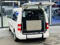 Volkswagen Caddy Maxi-Behindertengerecht-Rampe Білий - thumbnail 8