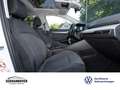 Volkswagen Golf VIII Move 1.5 TSI PANO+AHK+STANDH.+NAVI+SHZ Weiß - thumbnail 9