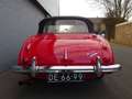 Austin-Healey 3000 3000 BJ8 Mk3 1964 Perfect (180pk) Rot - thumbnail 8