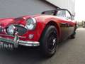 Austin-Healey 3000 3000 BJ8 Mk3 1964 Perfect (180pk) Rot - thumbnail 18