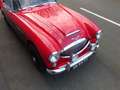 Austin-Healey 3000 3000 BJ8 Mk3 1964 Perfect (180pk) Rot - thumbnail 9
