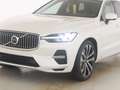 Volvo XC60 T8 Recharge Plug-In Hybrid Plus Bright  AWD Weiß - thumbnail 8