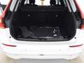 Volvo XC60 T8 Recharge Plug-In Hybrid Plus Bright  AWD Weiß - thumbnail 7