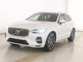 Volvo XC60 T8 Recharge Plug-In Hybrid Plus Bright  AWD Weiß - thumbnail 1