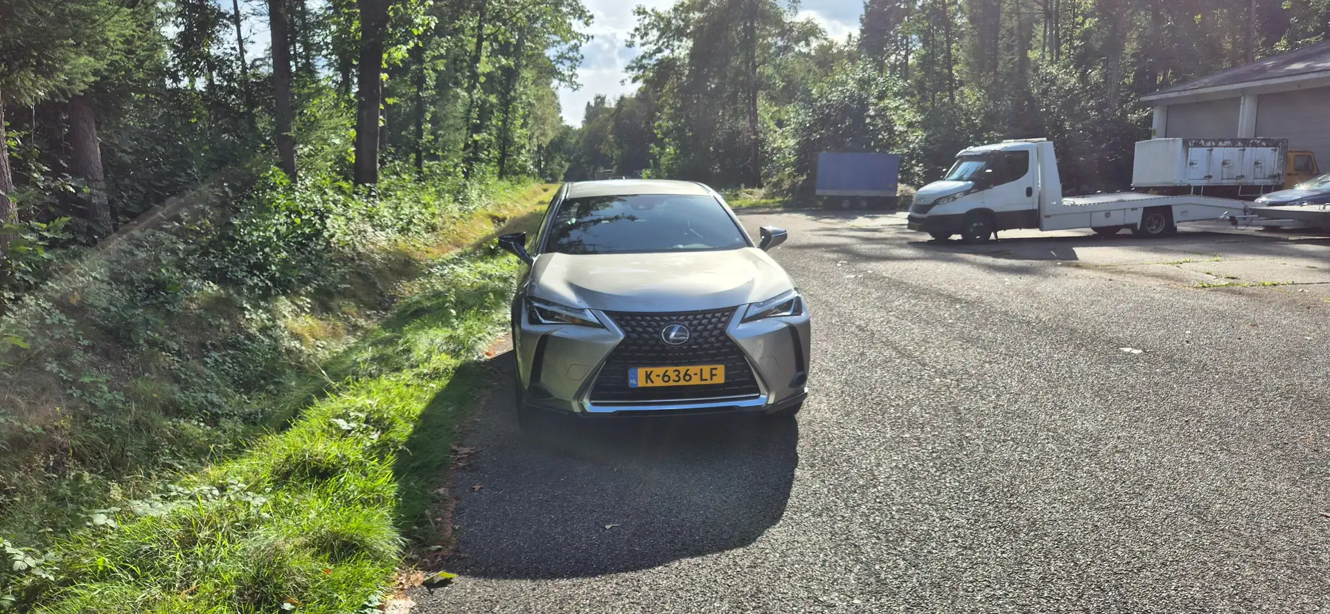 Lexus RX 300 RX 300 300e 54 kWh - 1