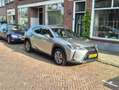 Lexus RX 300 RX 300 300e 54 kWh - thumbnail 5