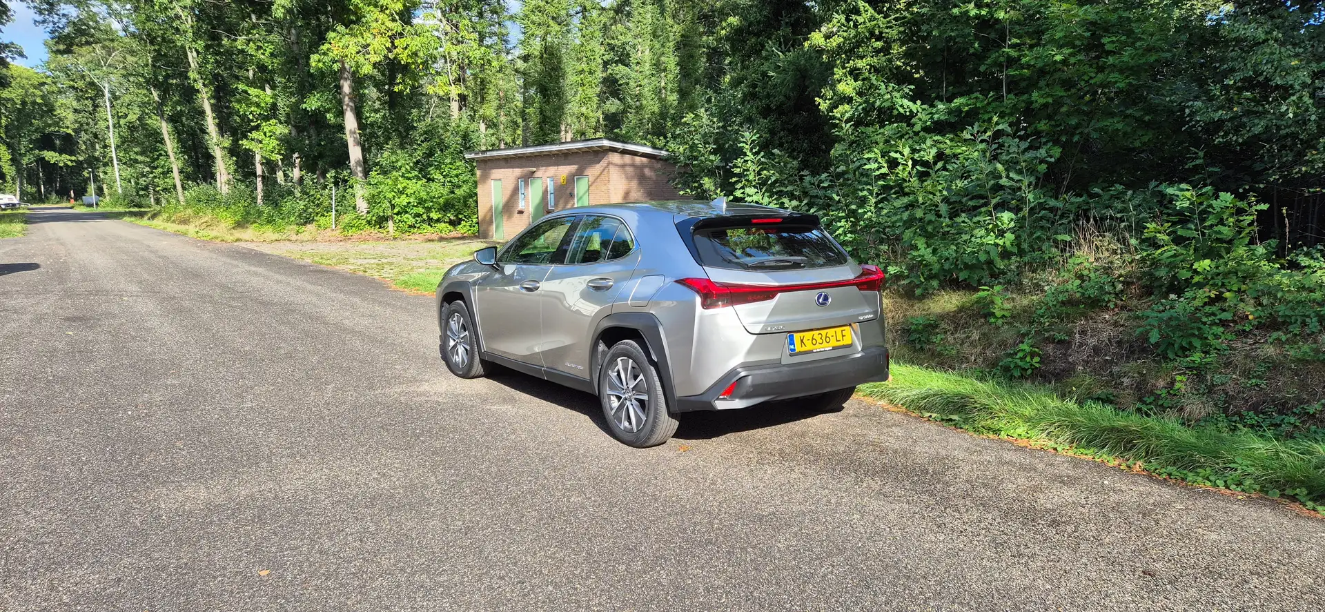 Lexus RX 300 RX 300 300e 54 kWh - 2