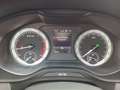 Skoda Kodiaq Ambition, Navi, RFK, AHK, Autom, 7 Sitze Gris - thumbnail 19