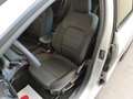 Ford Focus 1.0 EcoBoost Hybrid 125 CV PowerShift SW ST-Line Grigio - thumbnail 4