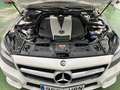 Mercedes-Benz CLS 350 350CDI BE (9.75) Aut. Blanc - thumbnail 2