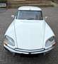 Citroen DS Special White - thumbnail 1