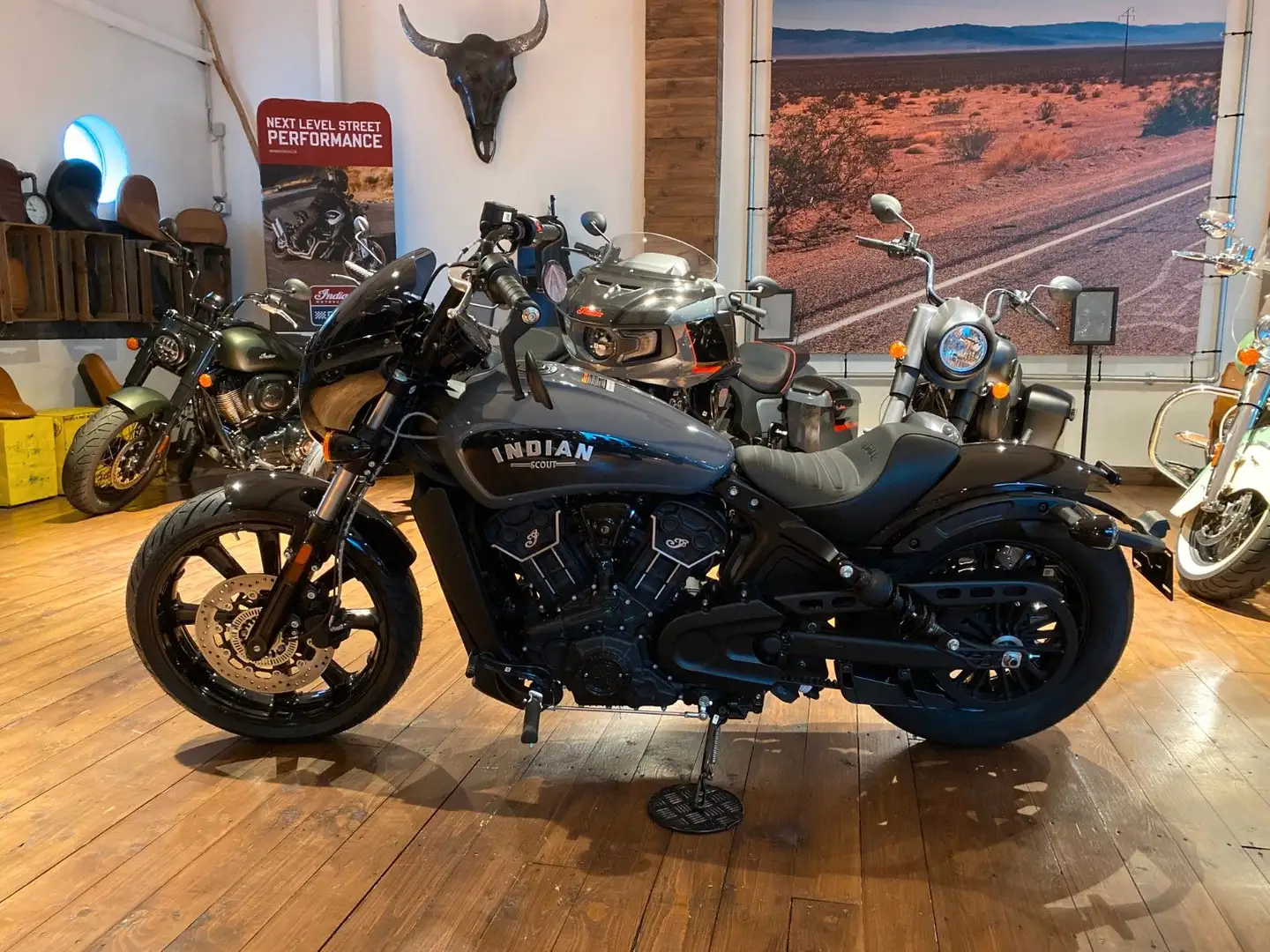 Indian Scout Rogue + Aktion EUR  1.000/3,99 % siva - 1