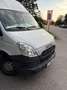 Iveco Daily 35 S 14 C 3000L 2,3 HPT DPF - thumbnail 7