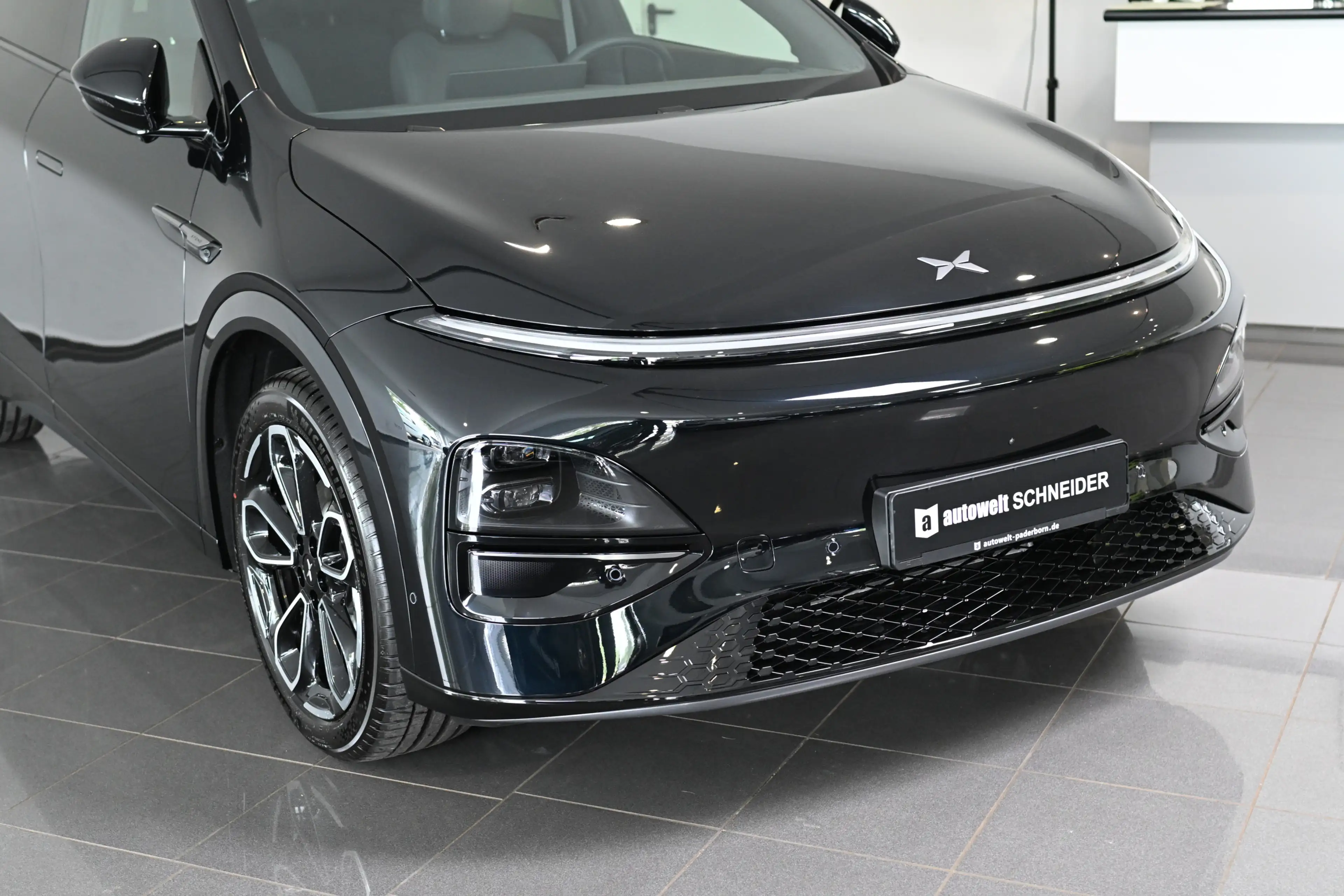 Xpeng Others AWD Performance AHK Pano Leder Kamera ACC — photo 7
