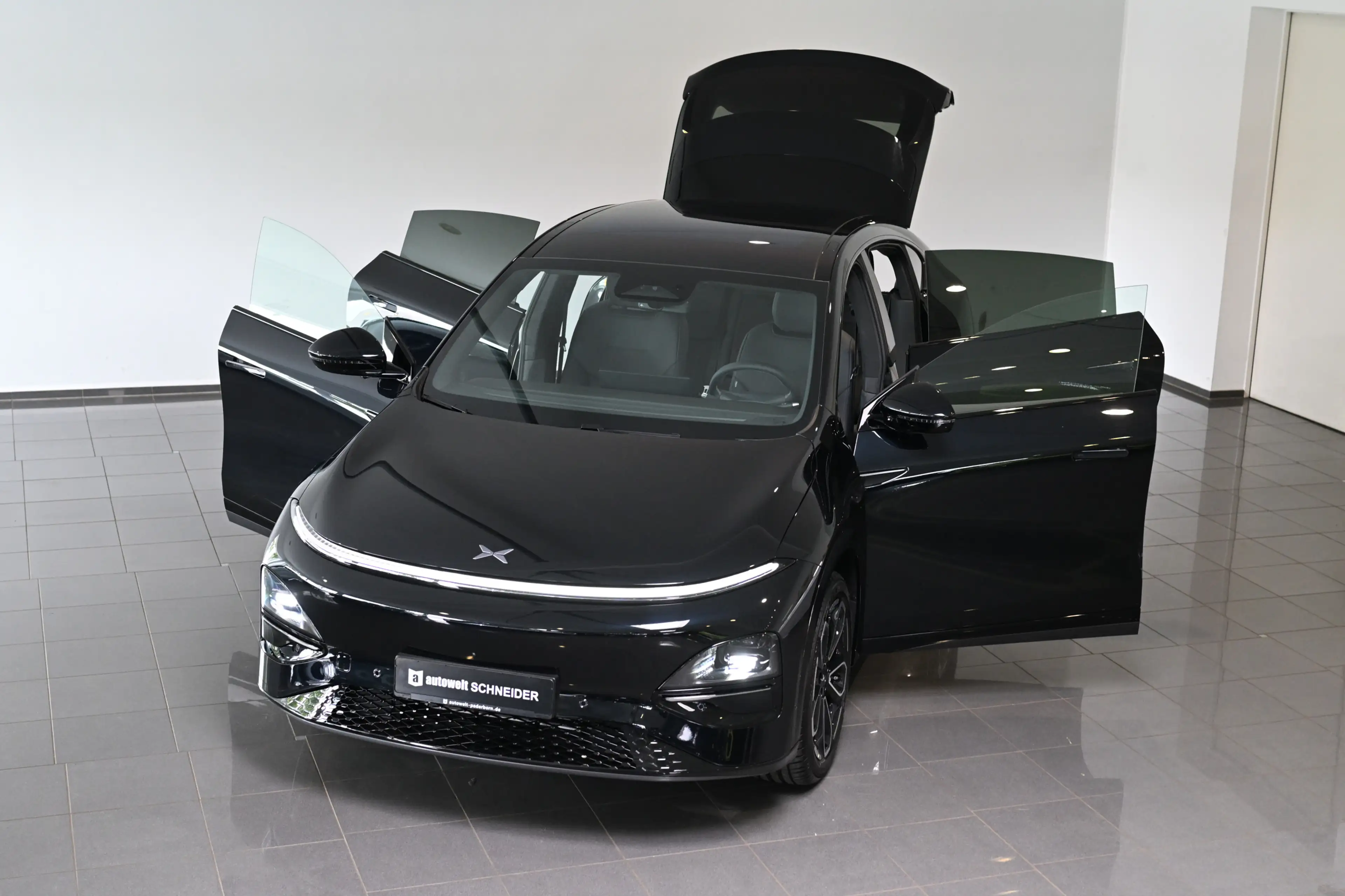 Xpeng Others AWD Performance AHK Pano Leder Kamera ACC — photo 5