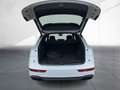 Audi Q5 50 TFSI e Q. S line Kamera LED Navi DAB GRA Weiß - thumbnail 16