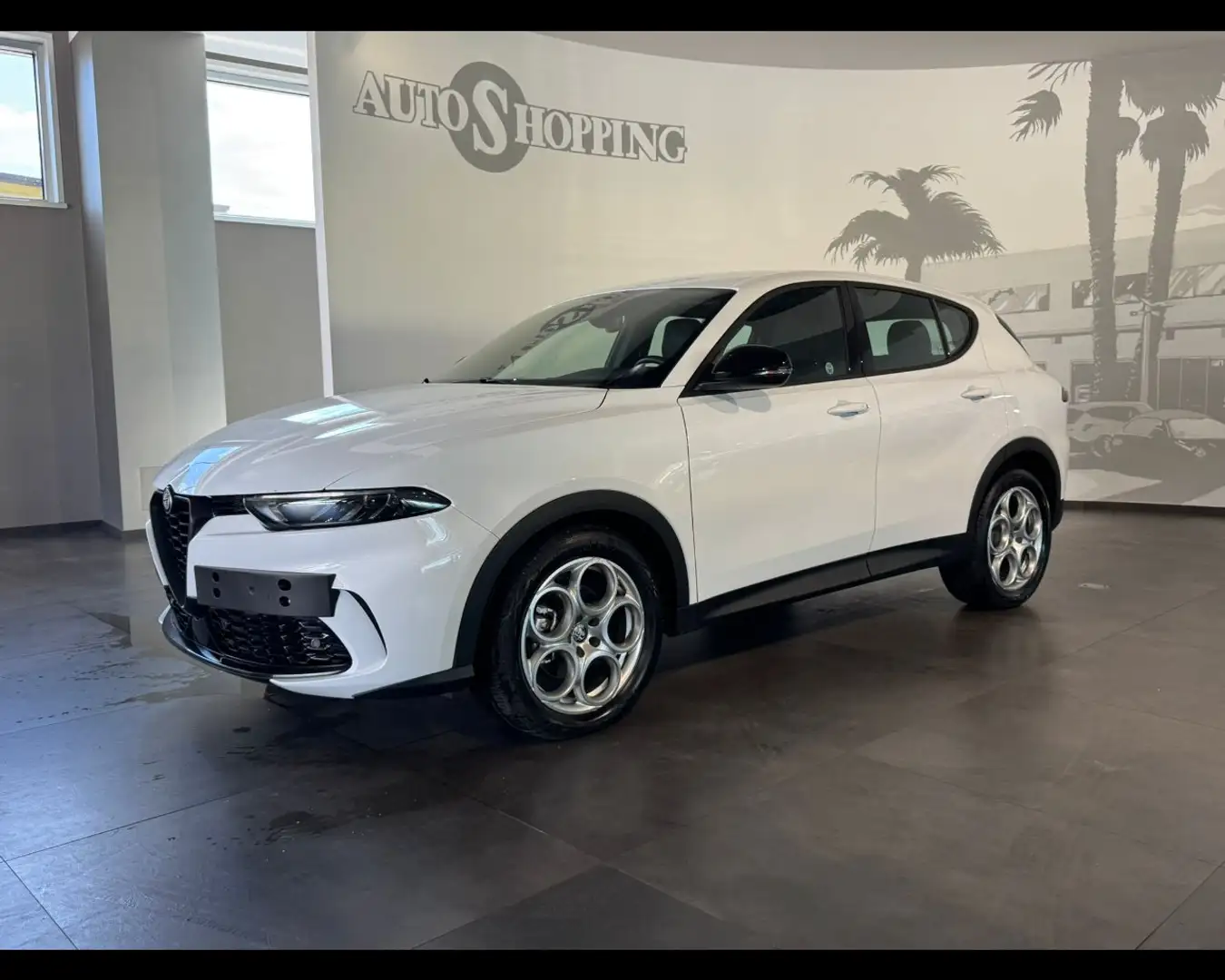 Alfa Romeo Tonale 1.6 diesel 130 CV TCT6 Sprint Bianco - 1