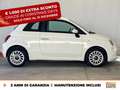 Fiat 500 1.0 hybrid pop 70cv Bianco - thumbnail 6