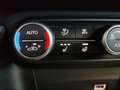 Alfa Romeo Stelvio Veloce 2.2TD 210cv Q4 AT8 Navi Pelle Xeno Cerchi20 Grigio - thumbnail 39