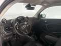 smart forTwo Smart III 2020 Elettric eq Passion 22kW Grigio - thumbnail 12