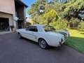 Ford Mustang V8 289ci 1966 Coupe de 1966 Beige - thumbnail 5