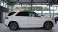 Mercedes-Benz GLE 350 d 4M AMG Line *Pano *AHK *2.H *MwSt. * Weiß - thumbnail 7