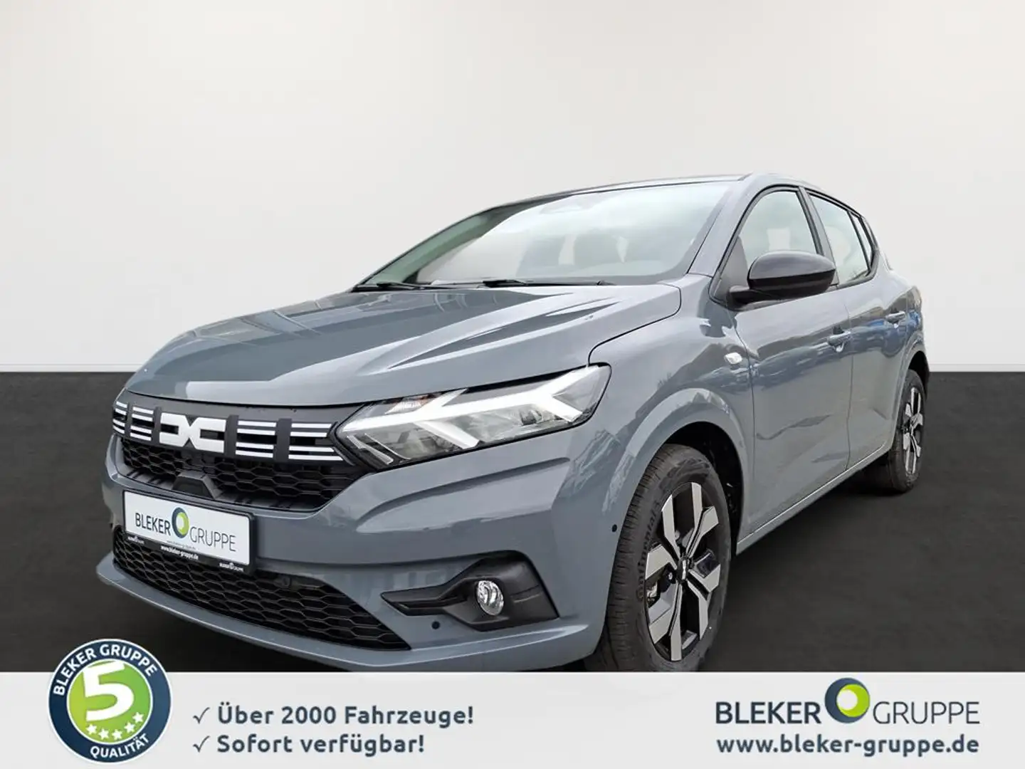 Dacia Sandero Journey TCe 90 Gris - 1