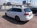 Volkswagen Golf Variant Golf VII 2013 Variant 1.4 tgi Highline Bianco - thumbnail 7