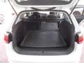 Volkswagen Golf Variant Golf VII 2013 Variant 1.4 tgi Highline Bianco - thumbnail 14