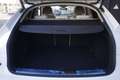 Audi Q5 Audi Q5 SPB 45 TFSI quattro S tronic Identity Bla Alb - thumbnail 19