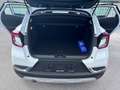 Renault Captur Captur 1.5 blue dci Intens 115cv Bianco - thumbnail 11