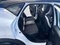 Renault Captur Captur 1.5 blue dci Intens 115cv Bianco - thumbnail 12