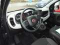 Fiat Panda 1.0 GSE Hybrid Klimaautomatik 7" Touchscreenradio Grün - thumbnail 12