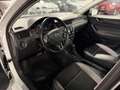 Skoda Rapid/Spaceback 1.4 Spaceback Joy Panorama*SHZ*DSG* Blanc - thumbnail 7