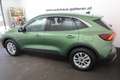 Ford Kuga Kuga 1,5 EcoBoost Titanium Grün - thumbnail 21