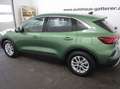 Ford Kuga Kuga 1,5 EcoBoost Titanium Grün - thumbnail 22
