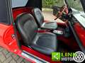 Alfa Romeo Spider 1750 OSSO DI SEPPIA / RESTAURO TOTALE Rood - thumbnail 11