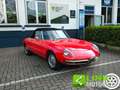 Alfa Romeo Spider 1750 OSSO DI SEPPIA / RESTAURO TOTALE Rood - thumbnail 1