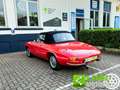 Alfa Romeo Spider 1750 OSSO DI SEPPIA / RESTAURO TOTALE Rood - thumbnail 5