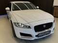 Jaguar XF Kombi Diesel AWD AUT. Pure / ALLRAD / LEDER / Weiß - thumbnail 5
