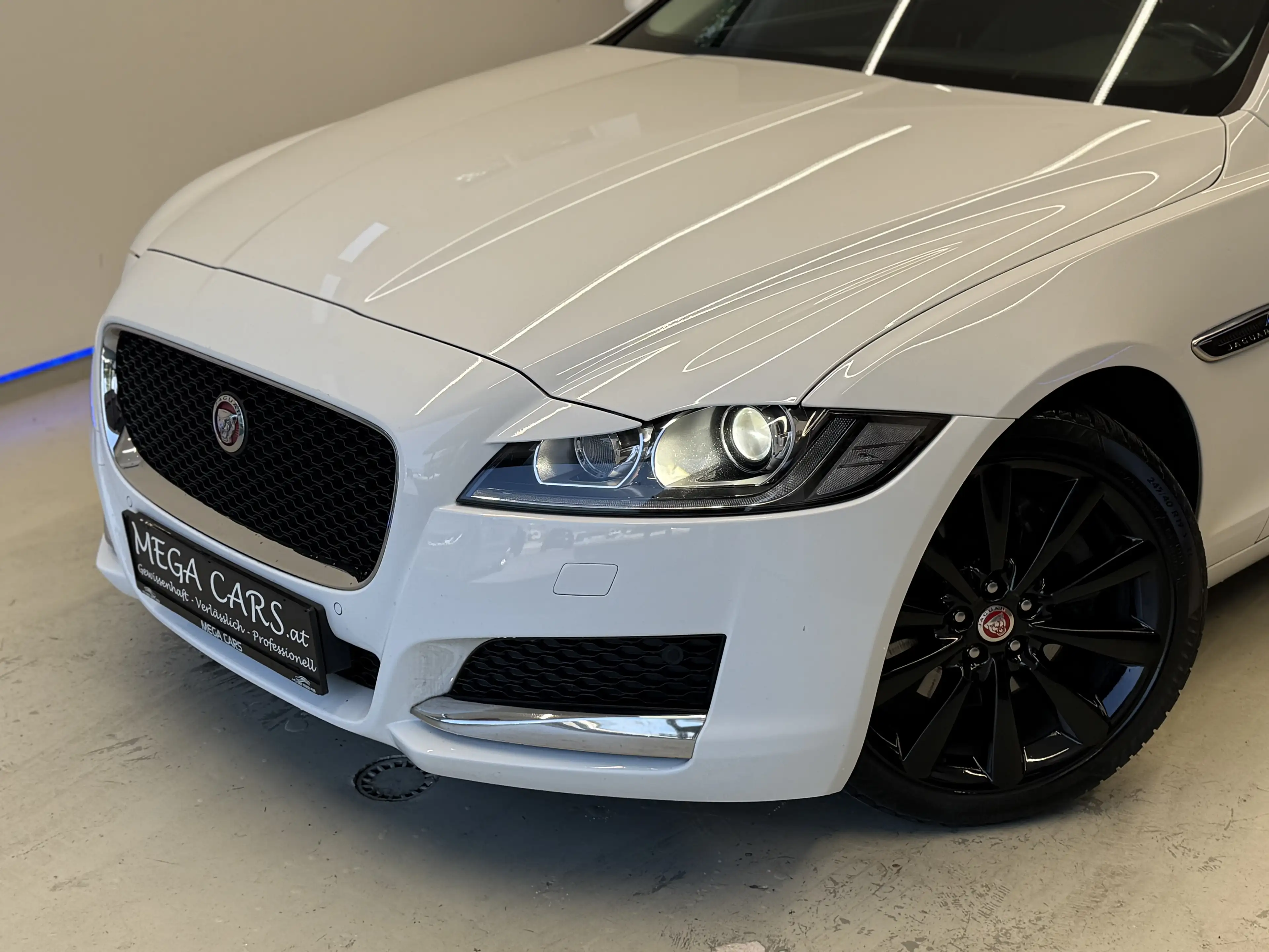 Jaguar XF Kombi Diesel AWD AUT. Pure / ALLRAD / LEDER / — photo 3