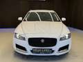 Jaguar XF Kombi Diesel AWD AUT. Pure / ALLRAD / LEDER / Weiß - thumbnail 4