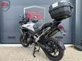 Triumph Tiger 1200 GT PRO Wit - thumbnail 16
