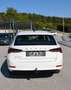 Skoda Octavia Octavia Combi 2,0 TDI Style DSG MATRIX AHV KAMERA 1.BESITZ Weiß - thumbnail 18