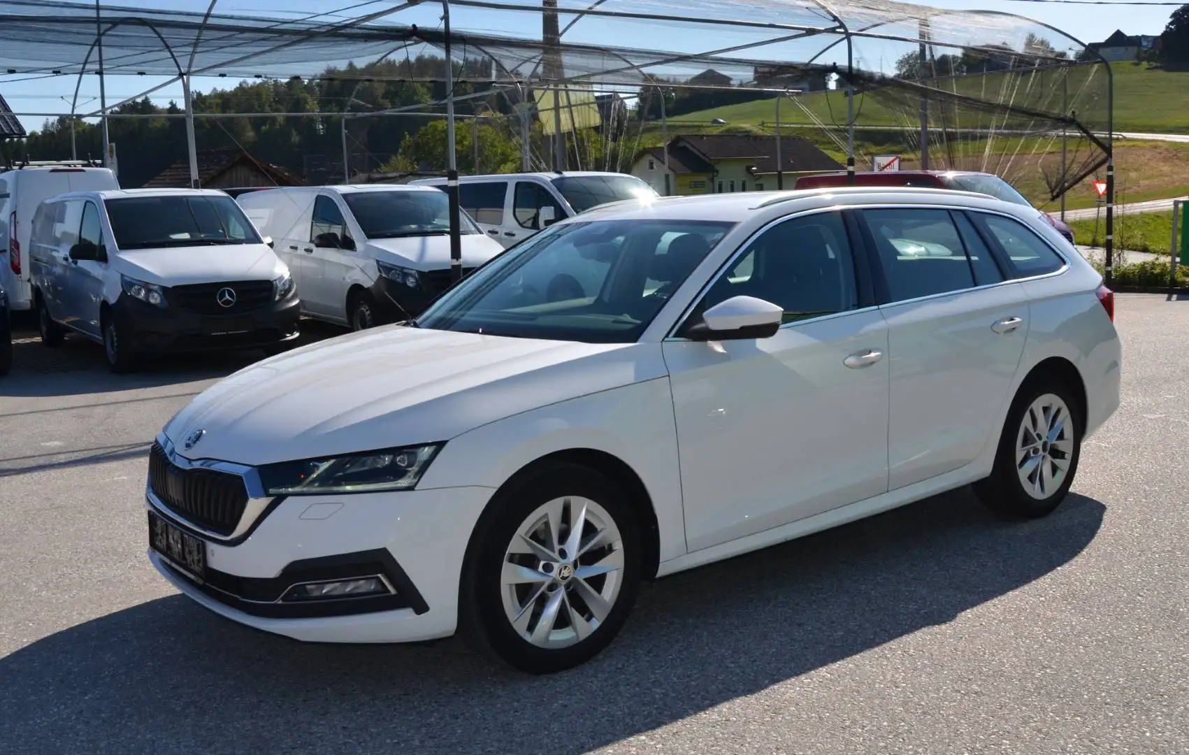 Skoda Octavia Octavia Combi 2,0 TDI Style DSG MATRIX AHV KAMERA 1.BESITZ Weiß - 2
