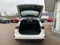Kia Ceed SW / cee'd SW ceed SW 1,5 TGDI Silber 48V DCT Weiß - thumbnail 10