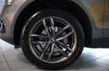 Audi Q5 2.0 TDI  S-tronic quattro Panorama Kamera ACC Grau - thumbnail 19